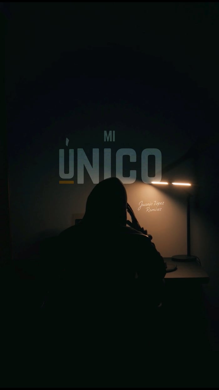 Mi único